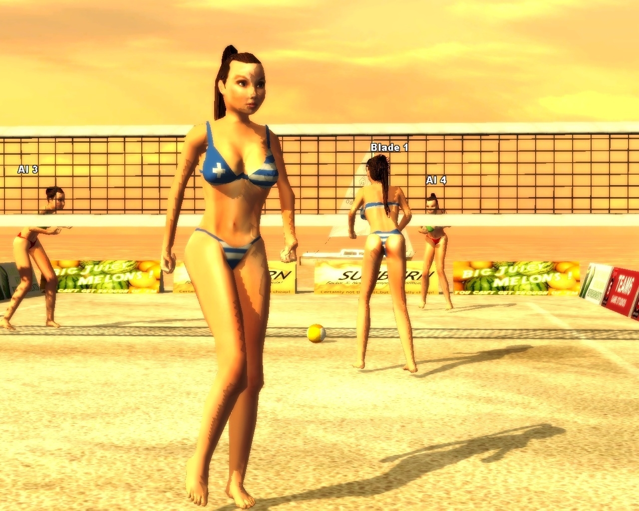 Скриншот из игры Sunshine Beach Volleyball под номером 15