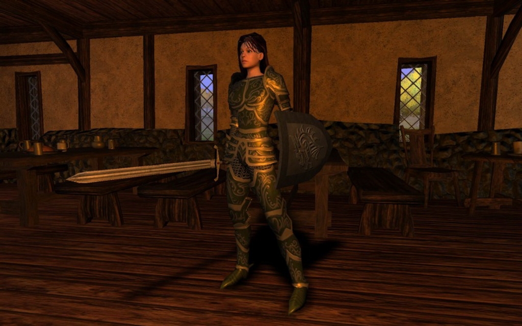 Скриншот из игры Vanguard: Saga of Heroes под номером 68