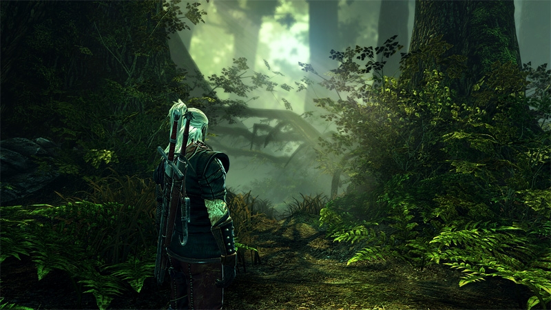 Скриншот из игры The Witcher 2: Assassins of Kings под номером 12