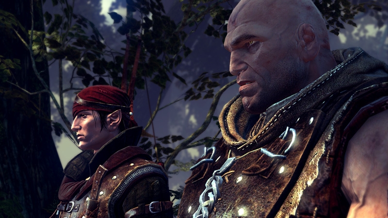 Скриншот из игры The Witcher 2: Assassins of Kings под номером 13