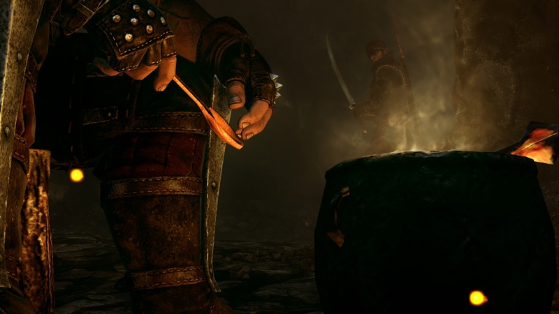 Скриншот из игры The Witcher 2: Assassins of Kings под номером 17
