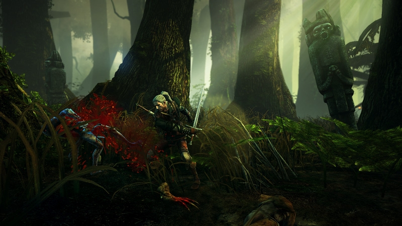 Скриншот из игры The Witcher 2: Assassins of Kings под номером 23