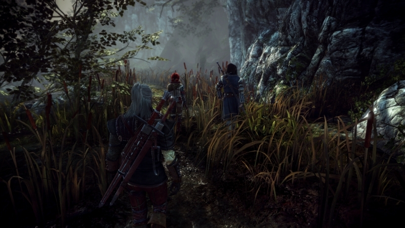 Скриншот из игры The Witcher 2: Assassins of Kings под номером 24