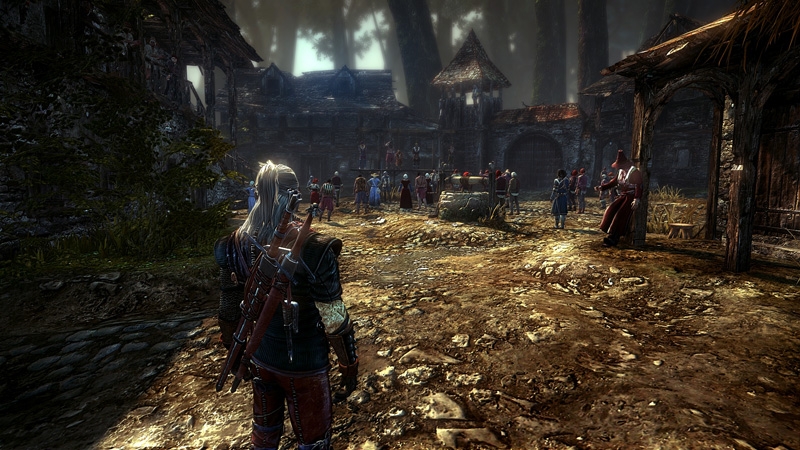 Скриншот из игры The Witcher 2: Assassins of Kings под номером 30