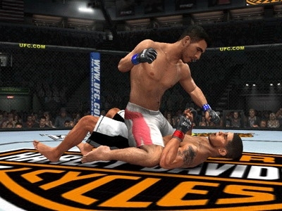 Скриншот из игры UFC 2009 Undisputed под номером 13