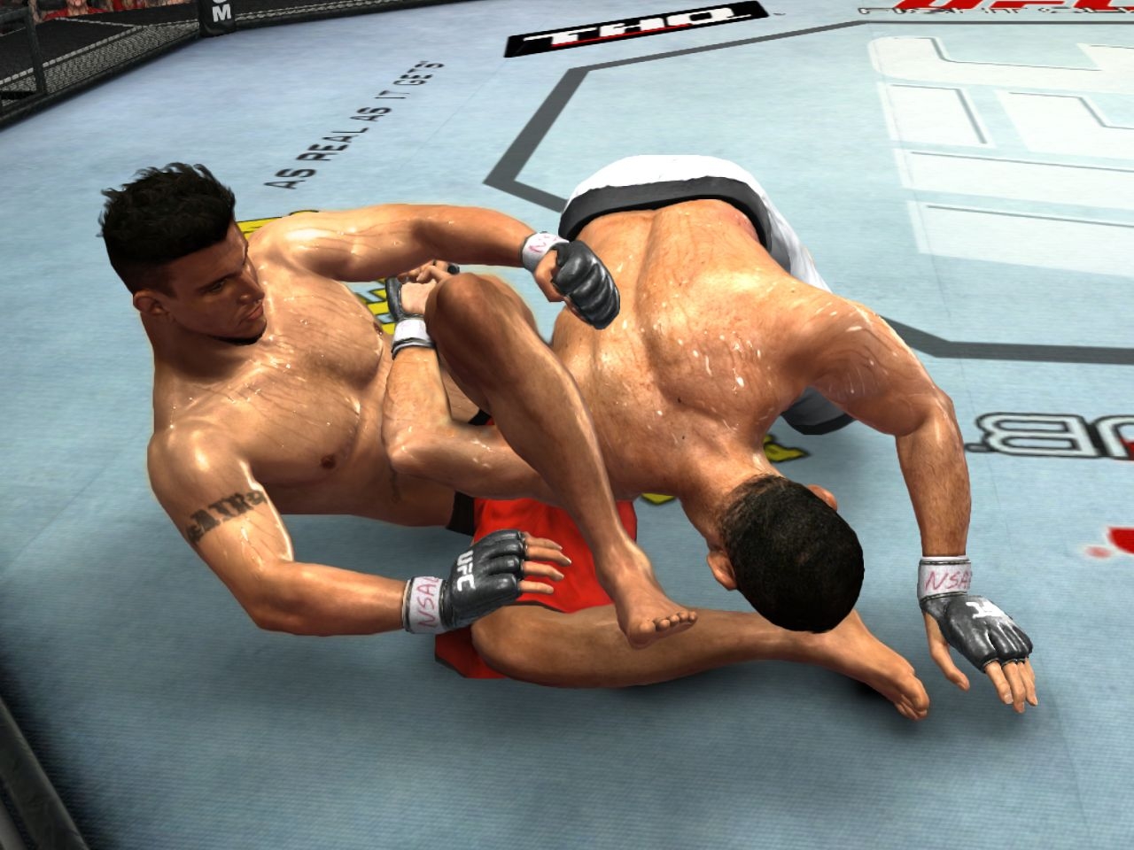 Скриншот из игры UFC 2009 Undisputed под номером 16