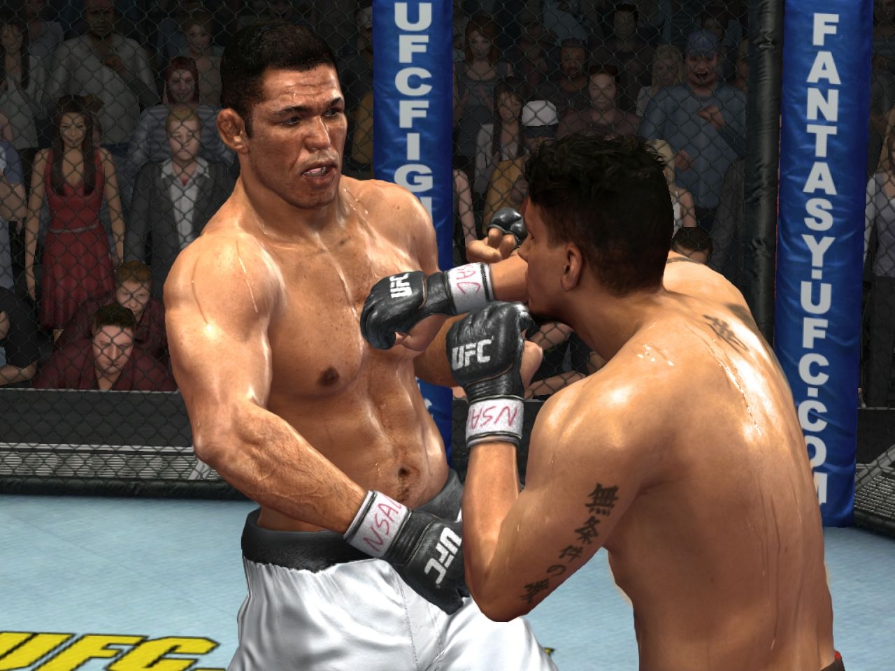 Скриншот из игры UFC 2009 Undisputed под номером 18