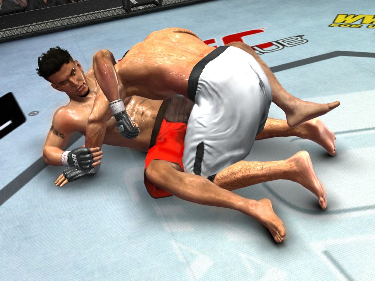 Скриншот из игры UFC 2009 Undisputed под номером 19
