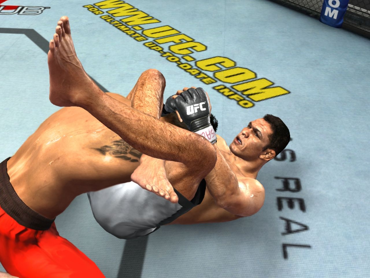 Скриншот из игры UFC 2009 Undisputed под номером 20