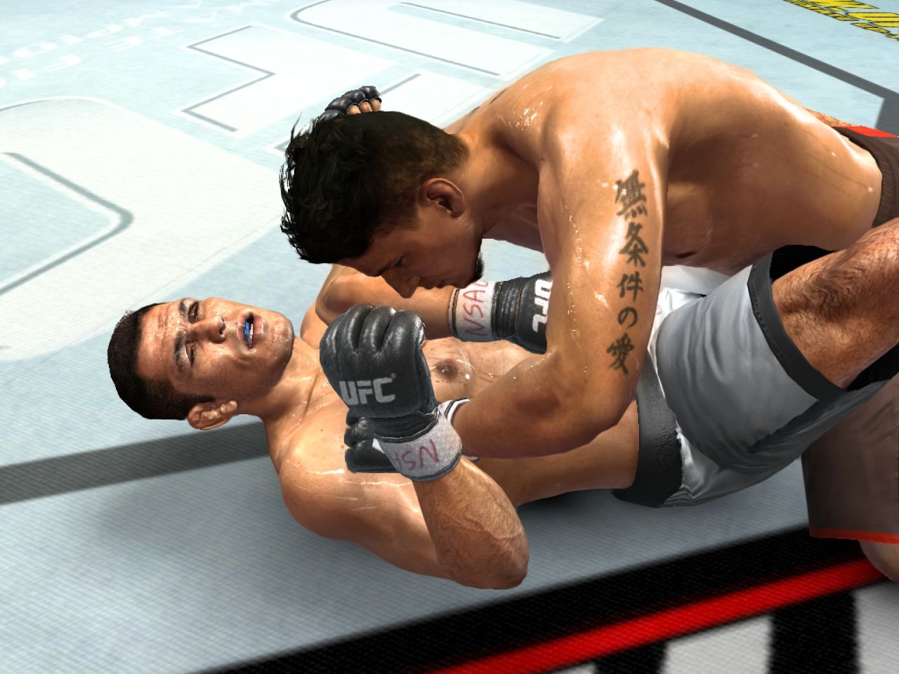 Скриншот из игры UFC 2009 Undisputed под номером 21