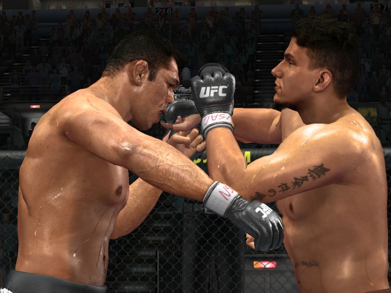 Скриншот из игры UFC 2009 Undisputed под номером 22