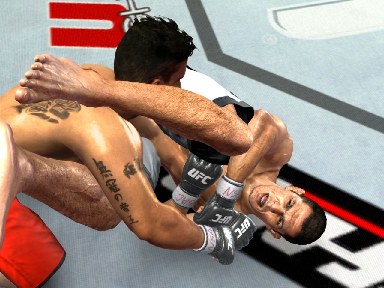 Скриншот из игры UFC 2009 Undisputed под номером 23