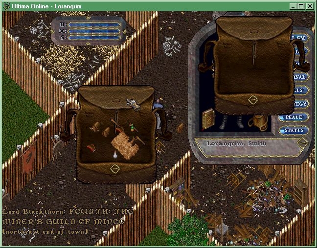 Скриншот из игры Ultima Online под номером 4