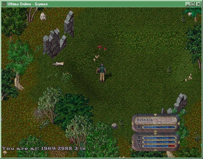Скриншот из игры Ultima Online под номером 57