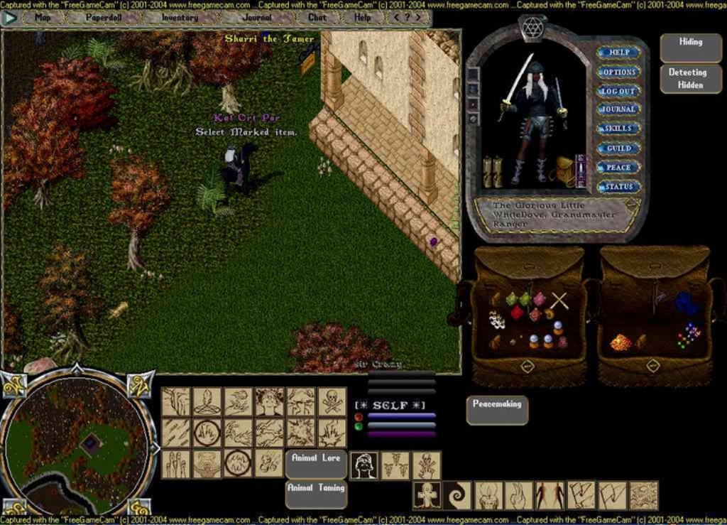 Скриншот из игры Ultima Online: Mondain’s Legacy под номером 3