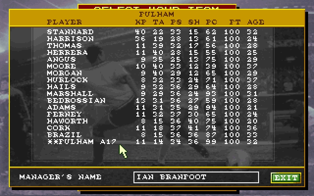 Скриншот из игры Ultimate Soccer Manager под номером 3