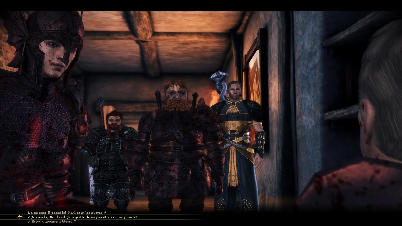 Скриншот из игры Dragon Age: Origins - Awakening под номером 23