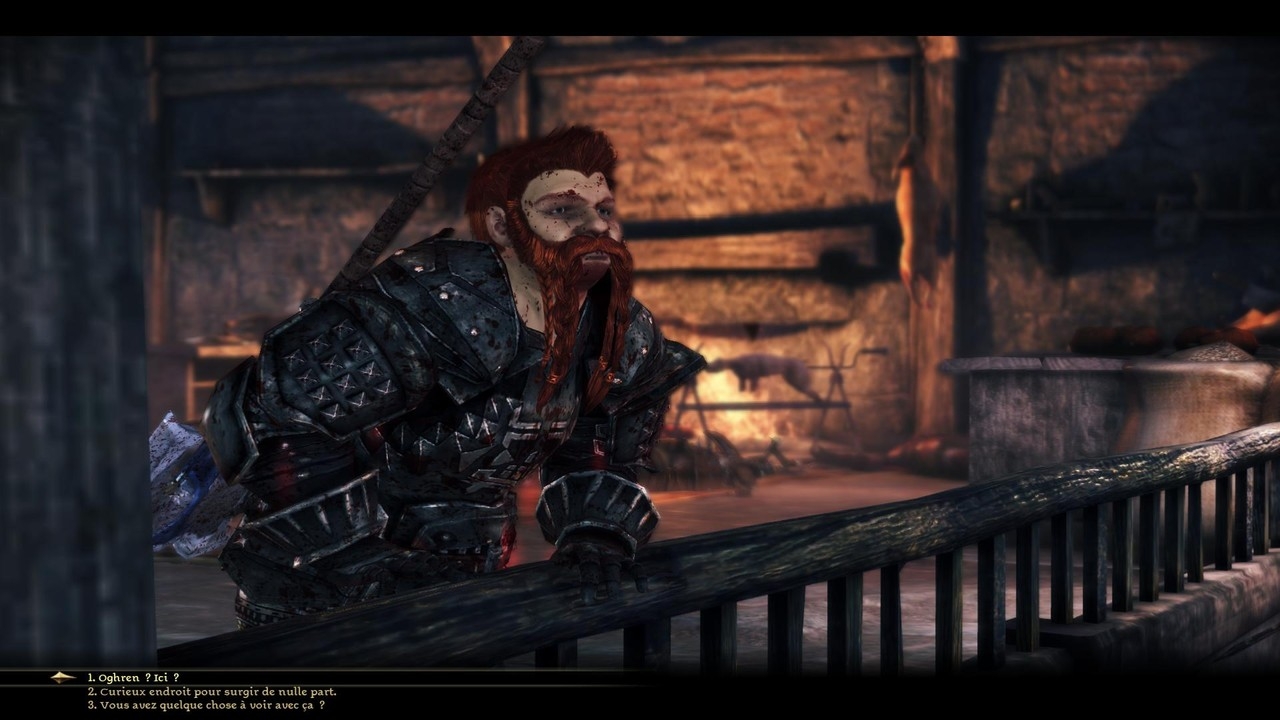 Скриншот из игры Dragon Age: Origins - Awakening под номером 24