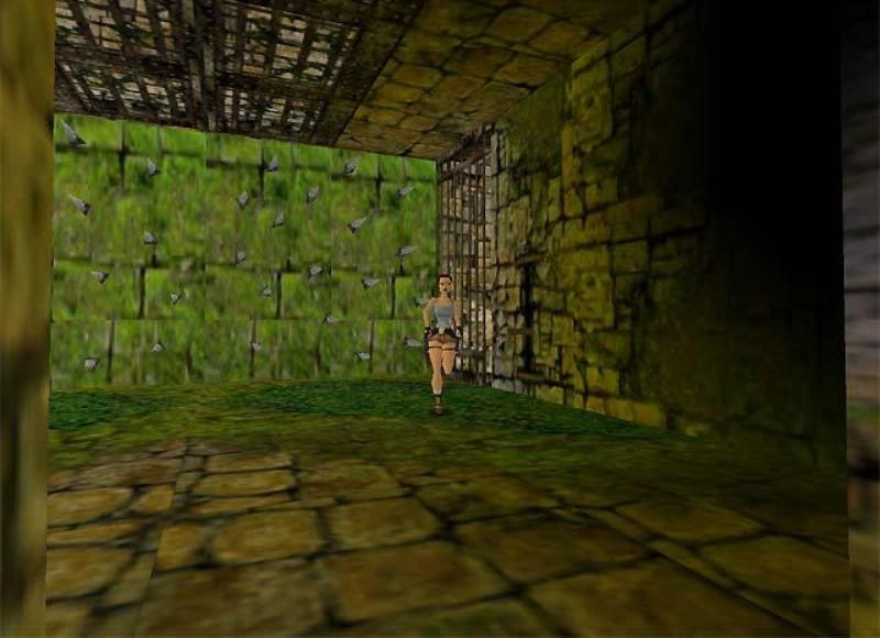 Скриншот из игры Tomb Raider 3: The Lost Artifact под номером 21