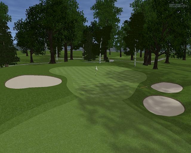 Скриншот из игры Customplay Golf под номером 19