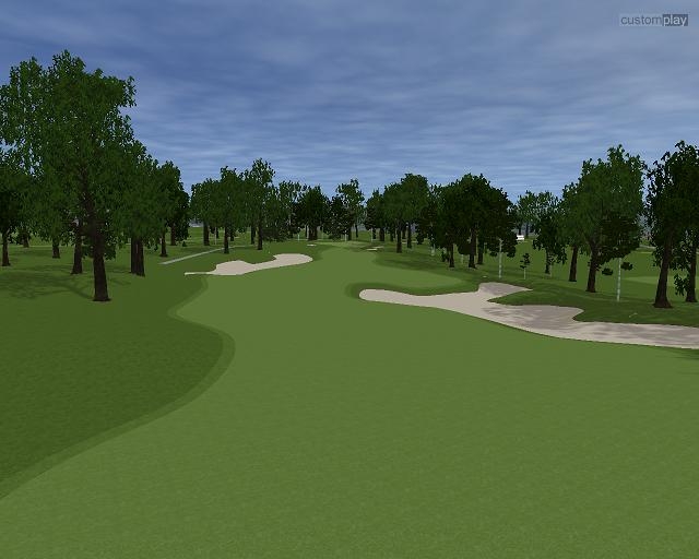 Скриншот из игры Customplay Golf под номером 21