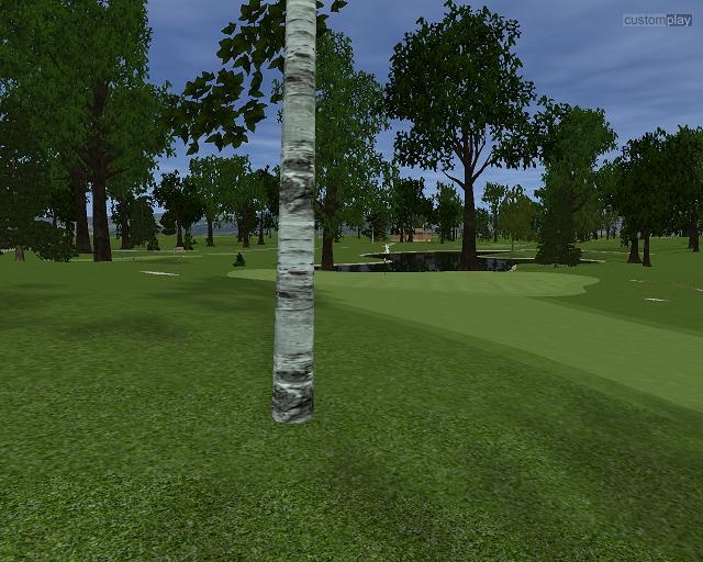 Скриншот из игры Customplay Golf под номером 27