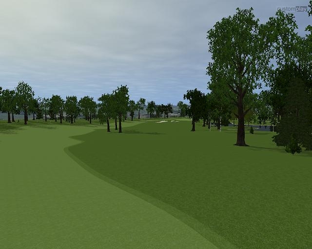 Скриншот из игры Customplay Golf под номером 29
