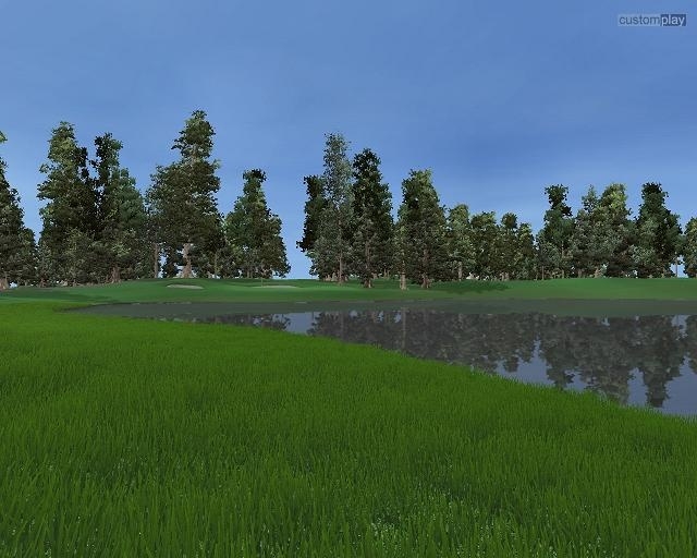 Скриншот из игры Customplay Golf под номером 6