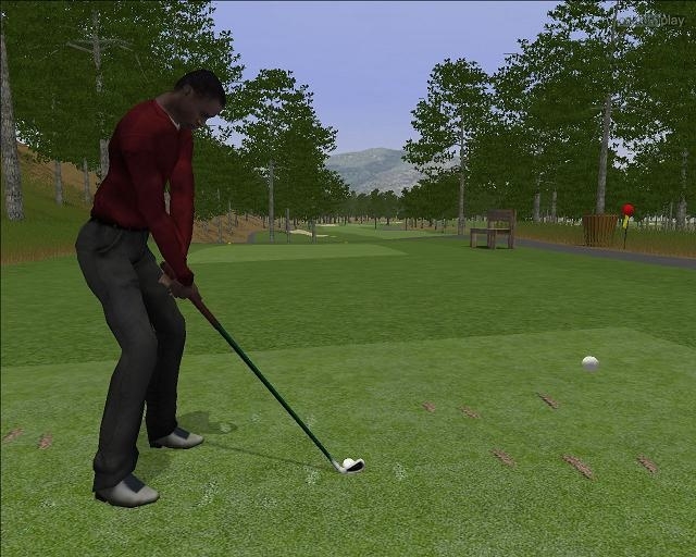 Скриншот из игры Customplay Golf под номером 7