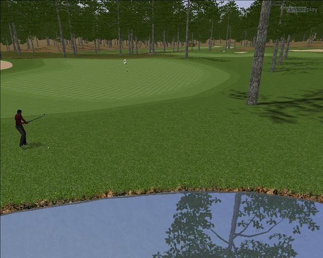 Скриншот из игры Customplay Golf под номером 8