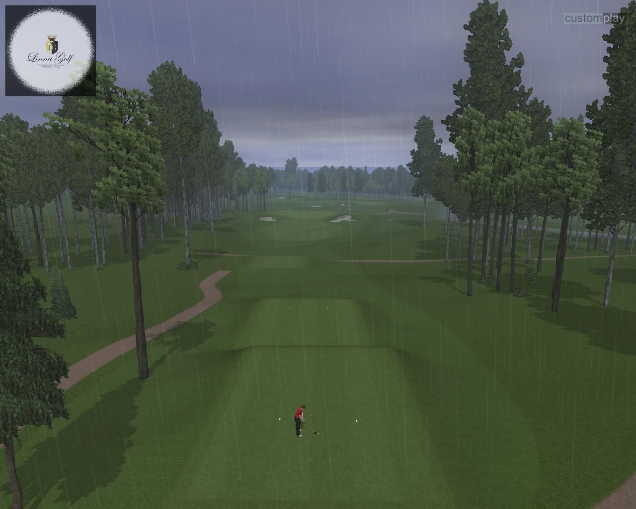 Скриншот из игры CustomPlay Golf 2009 под номером 16