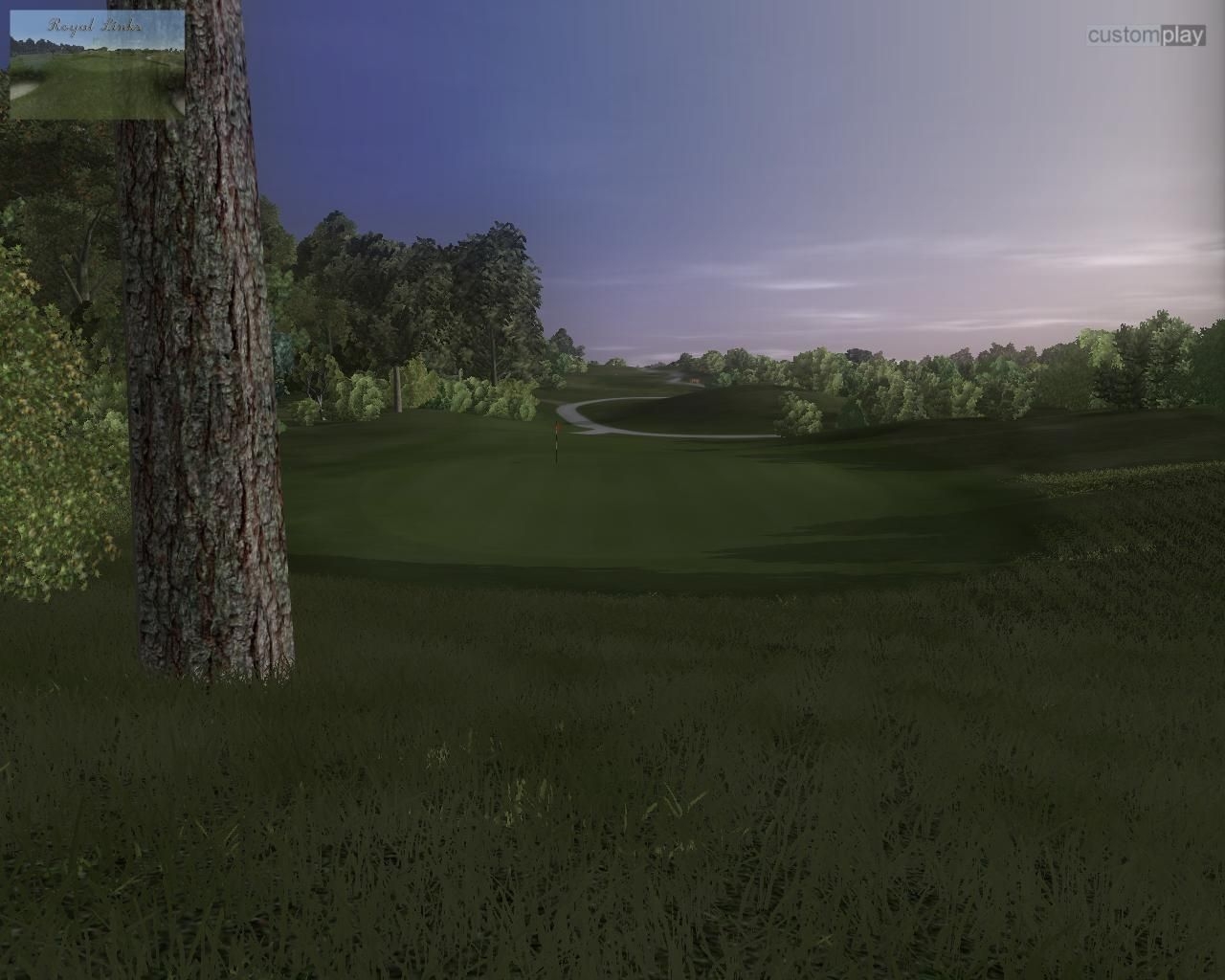 Скриншот из игры CustomPlay Golf 2009 под номером 3