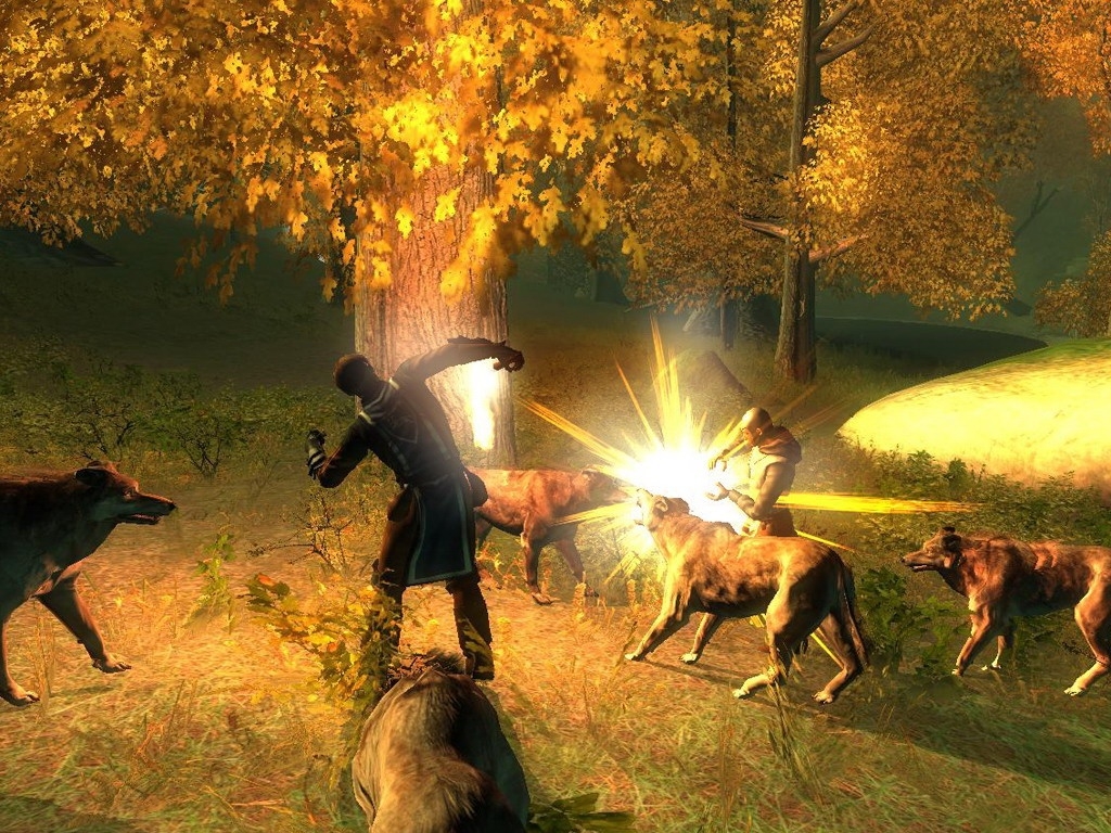 Скриншот из игры Drakensang: The Dark Eye под номером 15