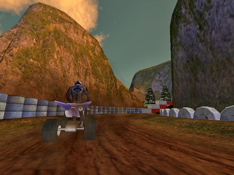 Скриншот из игры ATV Mud Racing под номером 8