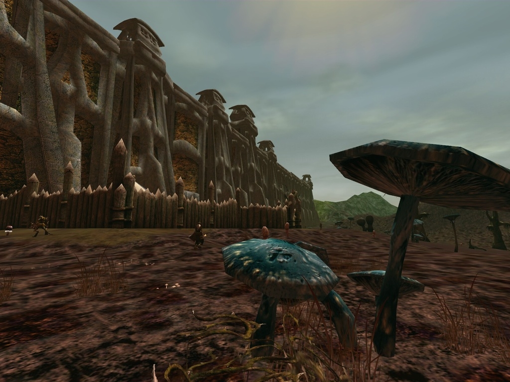 Скриншот из игры Asheron