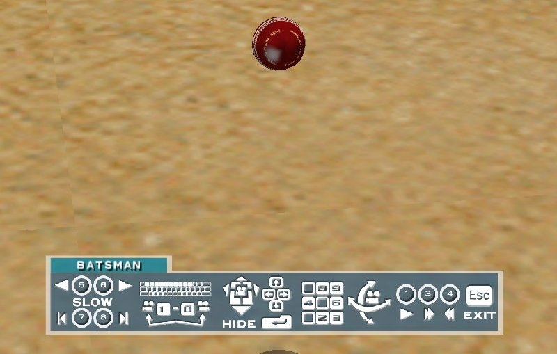 Скриншот из игры Cricket 2004 под номером 9