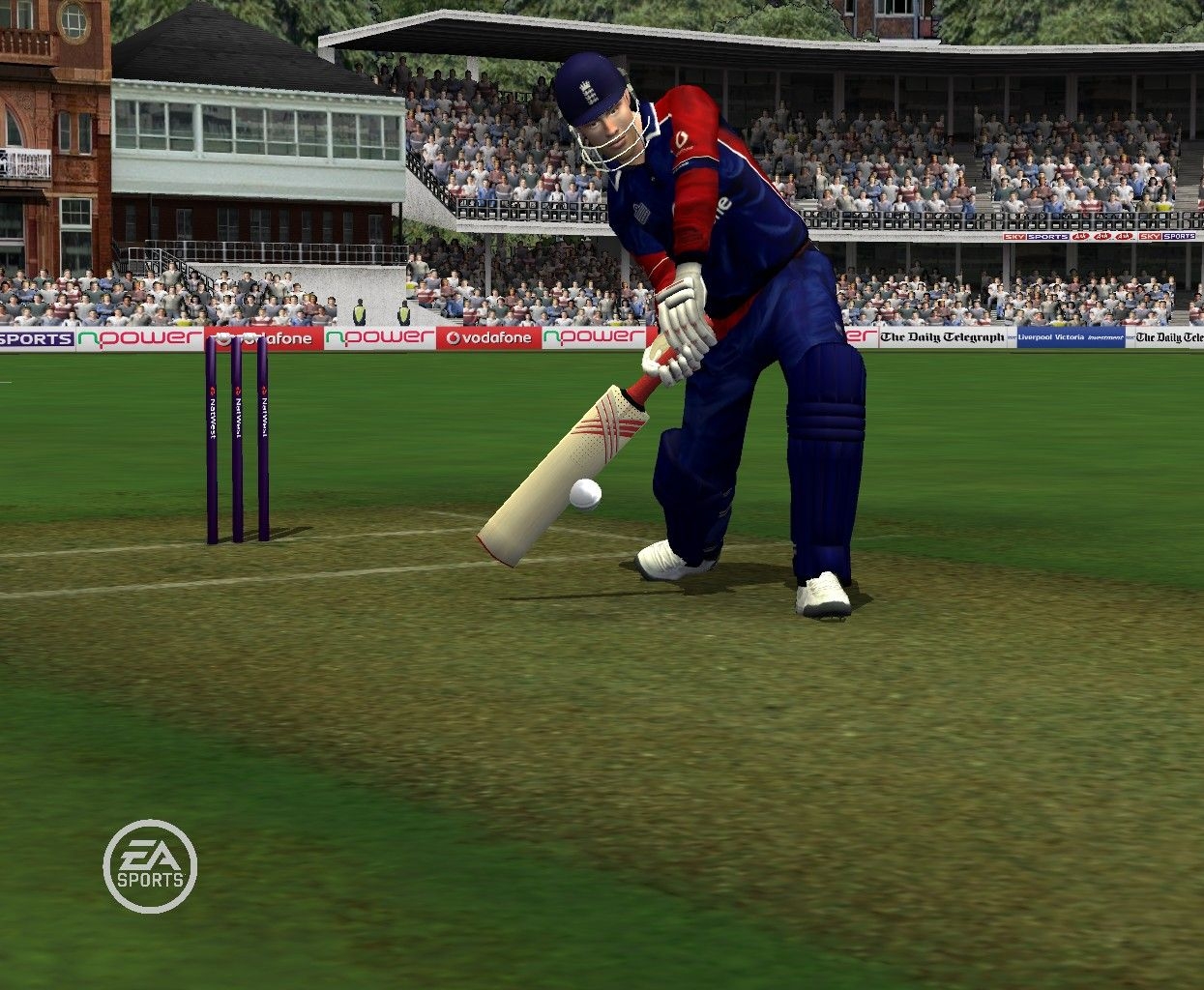 Скриншот из игры Cricket 07 под номером 18