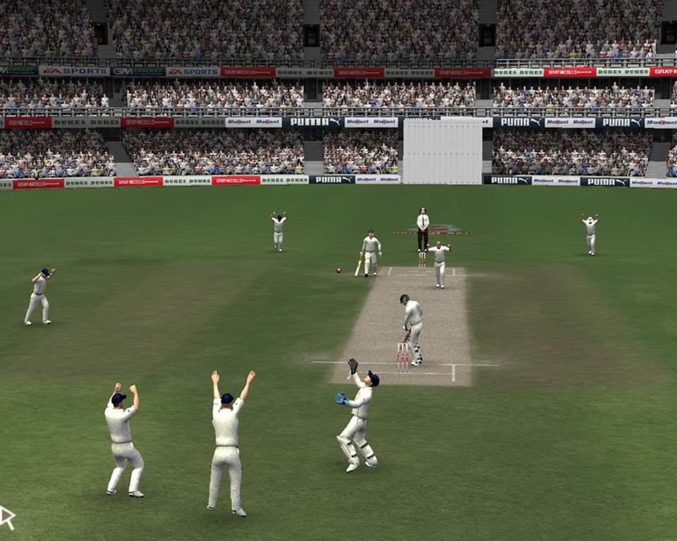 Скриншот из игры Cricket 07 под номером 29