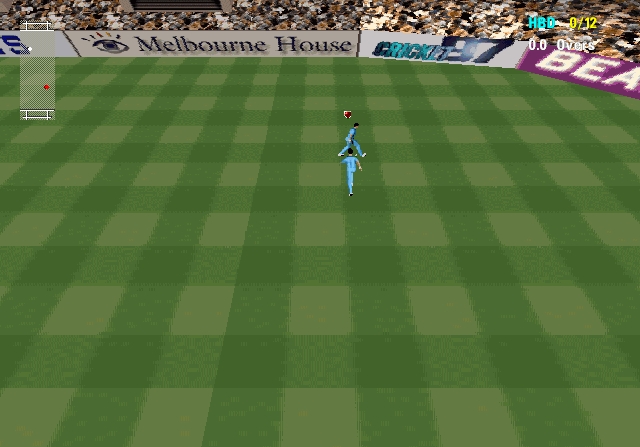 Скриншот из игры Cricket 
