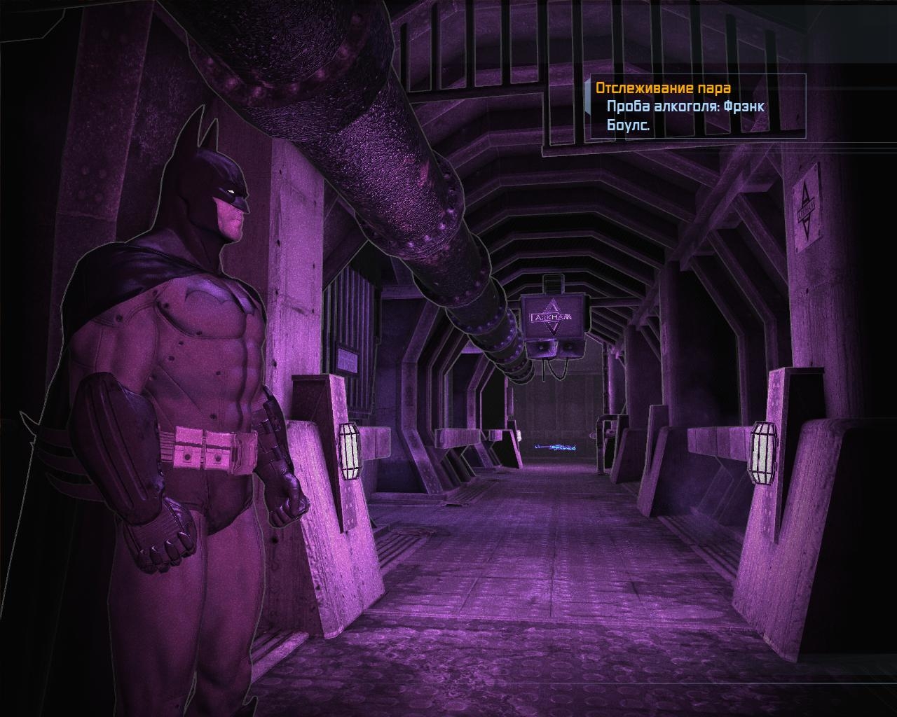 Скриншот из игры Batman: Arkham Asylum под номером 100