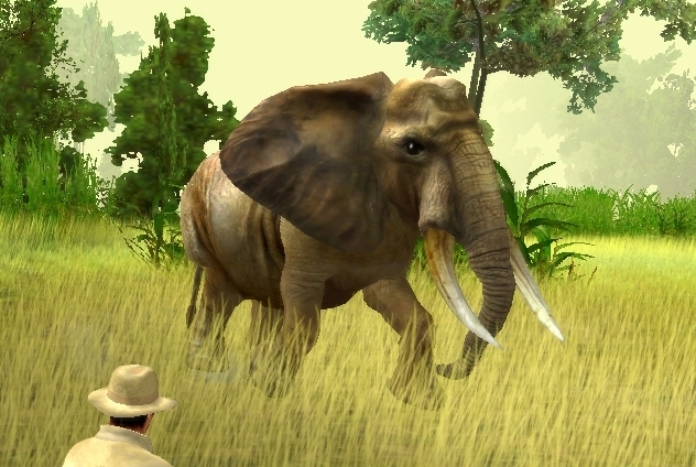 Скриншот из игры African Safari Casino под номером 2