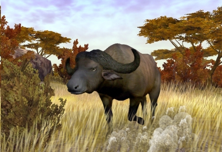 Скриншот из игры African Safari Casino под номером 3
