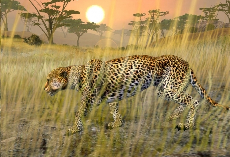 Скриншот из игры African Safari Casino под номером 4