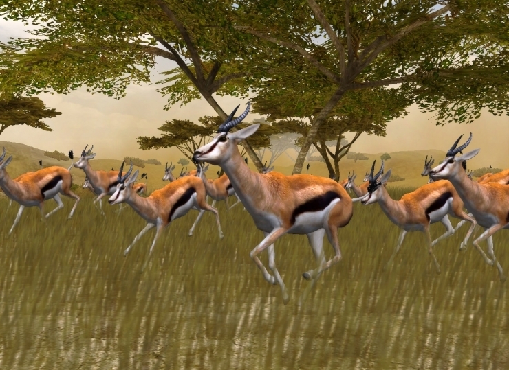 Скриншот из игры African Safari Casino под номером 5