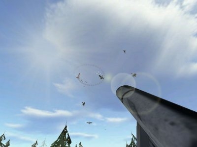 Скриншот из игры Crazy Duck Hunter под номером 5
