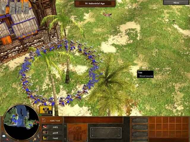 Скриншот из игры Age Of Empires 3 под номером 13