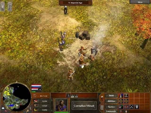 Скриншот из игры Age Of Empires 3 под номером 8