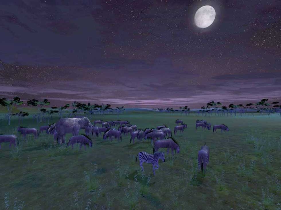 Скриншот из игры Wild Earth под номером 24