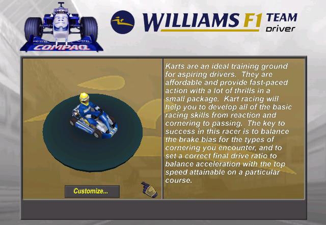 Тим 1. Williams f1 Team. Виллиамс игра. Тим драйвер. Williams f1 Team Driver (2002).