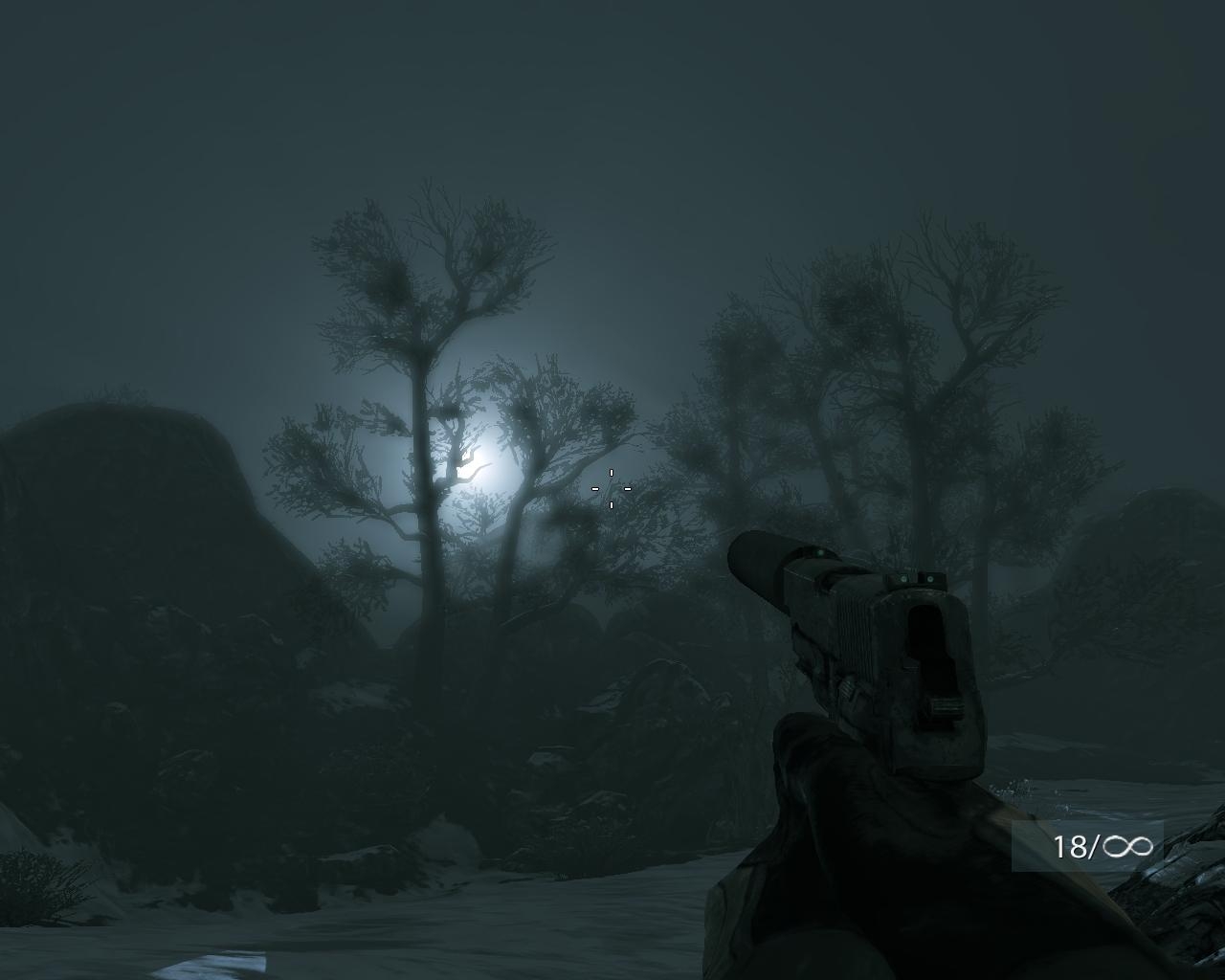 Скриншот из игры Medal of Honor (2010) под номером 106